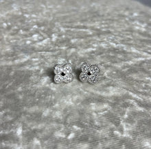 Load image into Gallery viewer, Xquisite Earrings Silver
